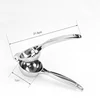 Large opp bag silvery