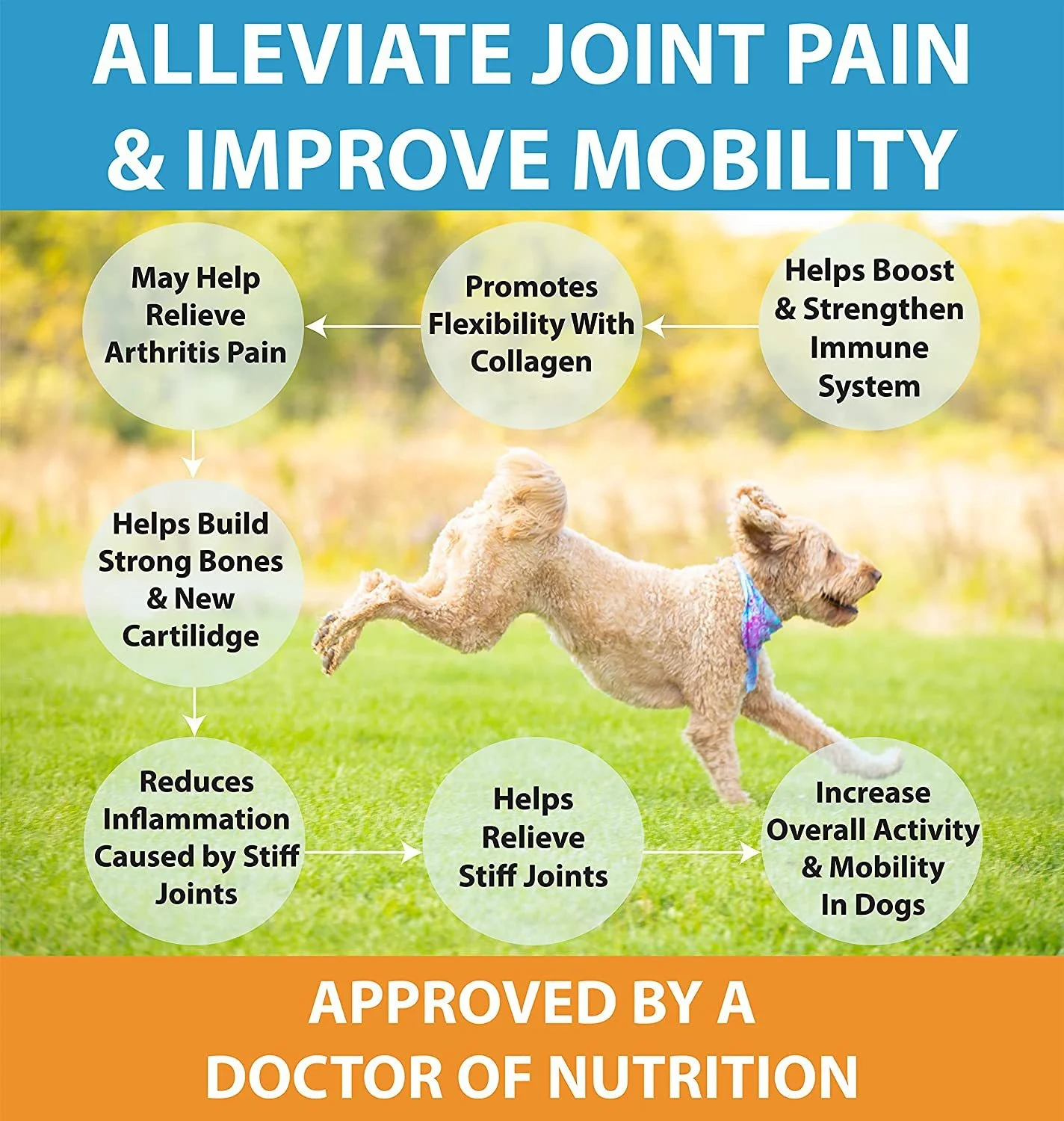 OEM добавки для бедер и суставов поливитамины собак жевательные лакомства Тазобедренные суставные жевательный Глюкозамин