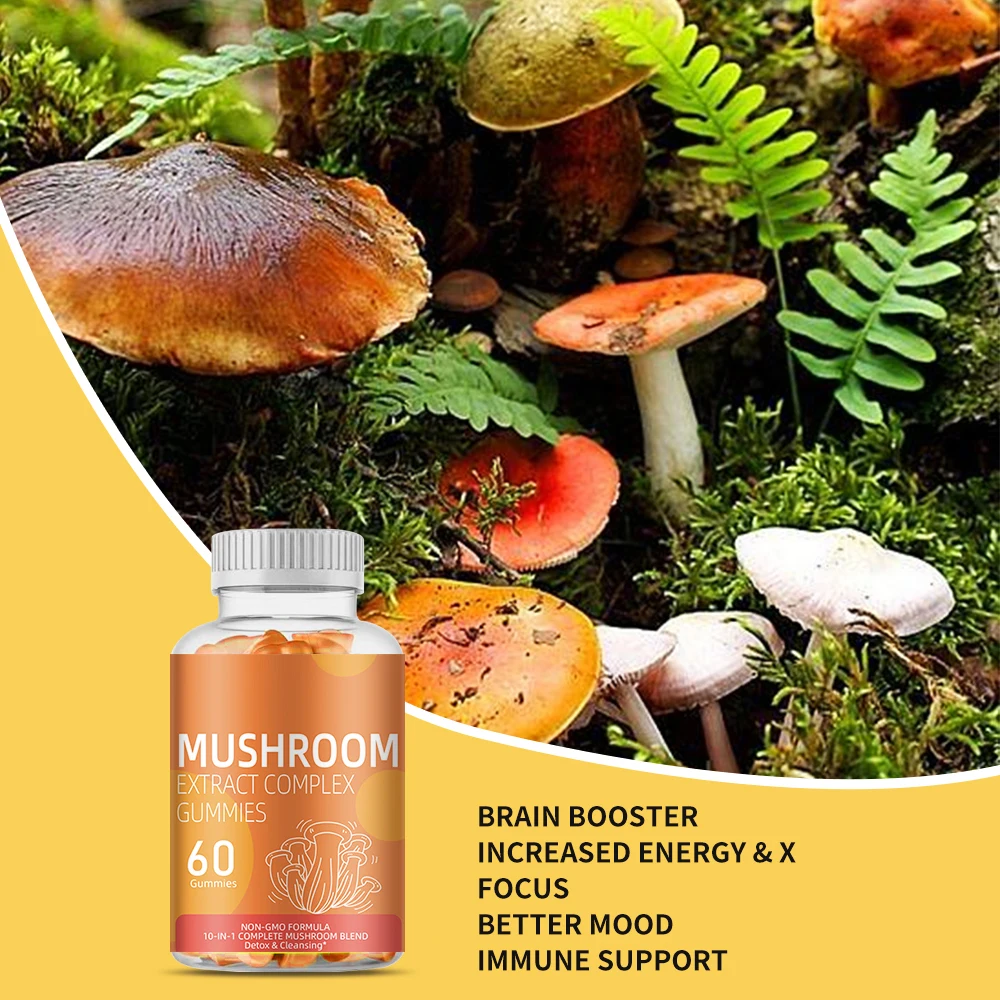 Oem Brain Booster Gummies Mushroom Supplement Support Immune System
