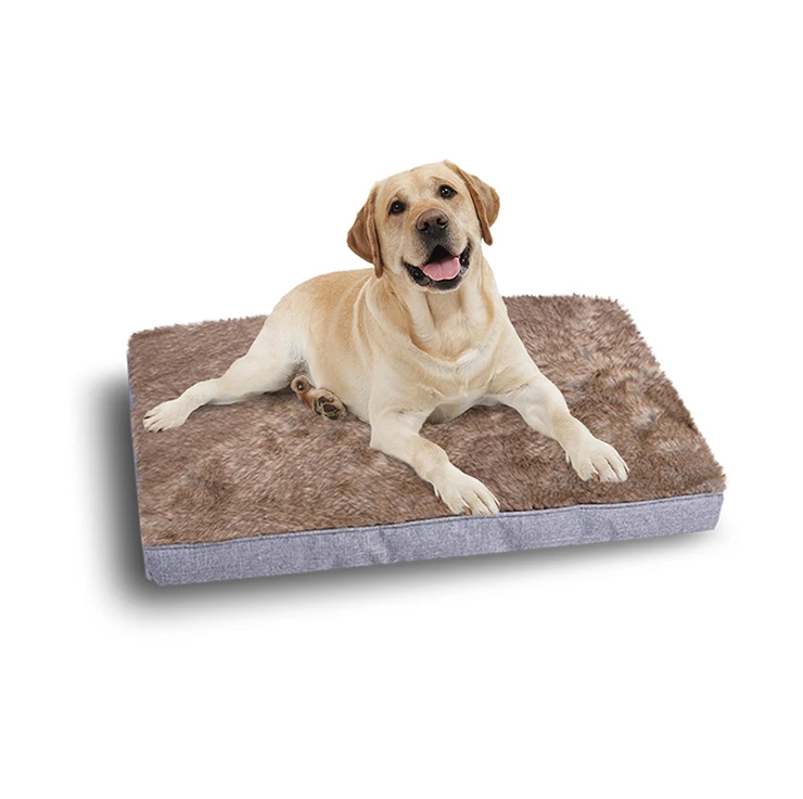 How Do You Clean A Foam Dog Bed