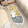 chat mâle remontant son pantalon