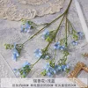 Dd-ruixianghua-blu chiaro
