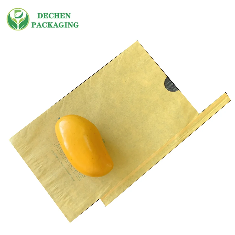 Protection de fruit d'ananas pour le sac en papier protecteur de mangue de double couche de banane