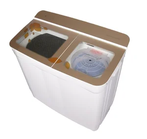 9KG XPB90-2001SX1 Bi-rolling Cusmtomized Plug Three Rotary Knob Self Explanatory Feature Twin Tub Electric Washing Machine