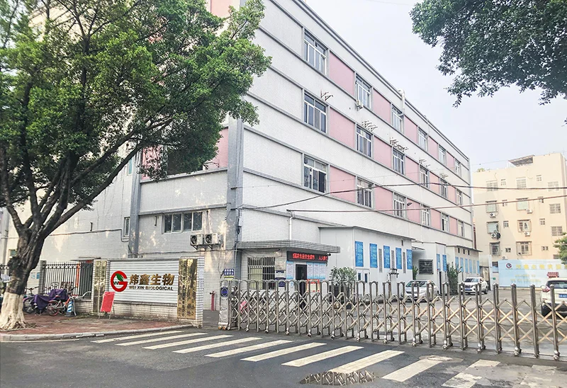 OEM Private Label Body Magic Chlorophyll Capsules Adult-Friendly Parsley Leaf Supplements for Health and Wellness One Bottle