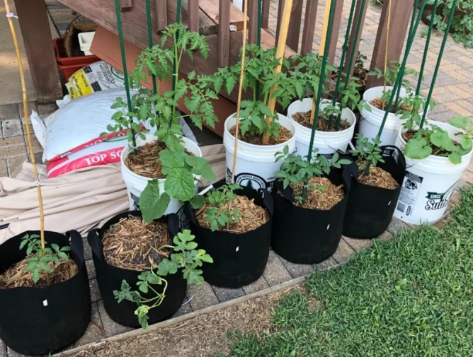 100 Gallon Planting Tree Bags Grow Planting Grow Bags Wholesale Online