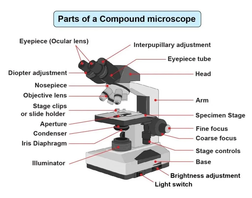 Антивибрационный стол для инвертированного микроскопа