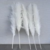 Bianco (60-80/>80cm disponibili)