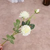 สีขาว