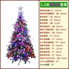 AYYSDS-11-17-1.2m stile europeo viola