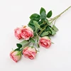 Rose garance