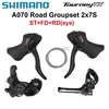 Ojo negro St-fd-rd