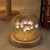 16 fiori-viola