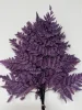 grape purple