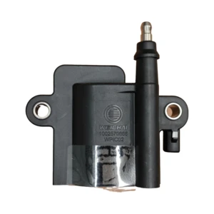 Original Truck Parts Weichai Natural Gas Engine CNG LNG Ignition Coil 1002570666 for SHACMAN HOWO FAW DONGFENG