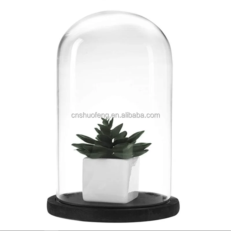 Wholesale Cheap Artlass Glass Cloche Bell Jar Display Dome With Wooden