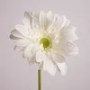 01-White