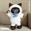 Siamese cat