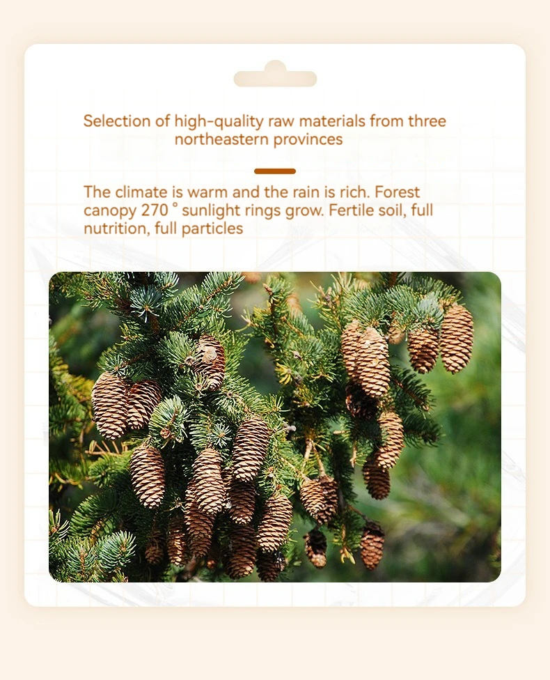 Factory Direct Sale Pakistan Pine Nuts Oem Bulk Organic Healthy Snacks