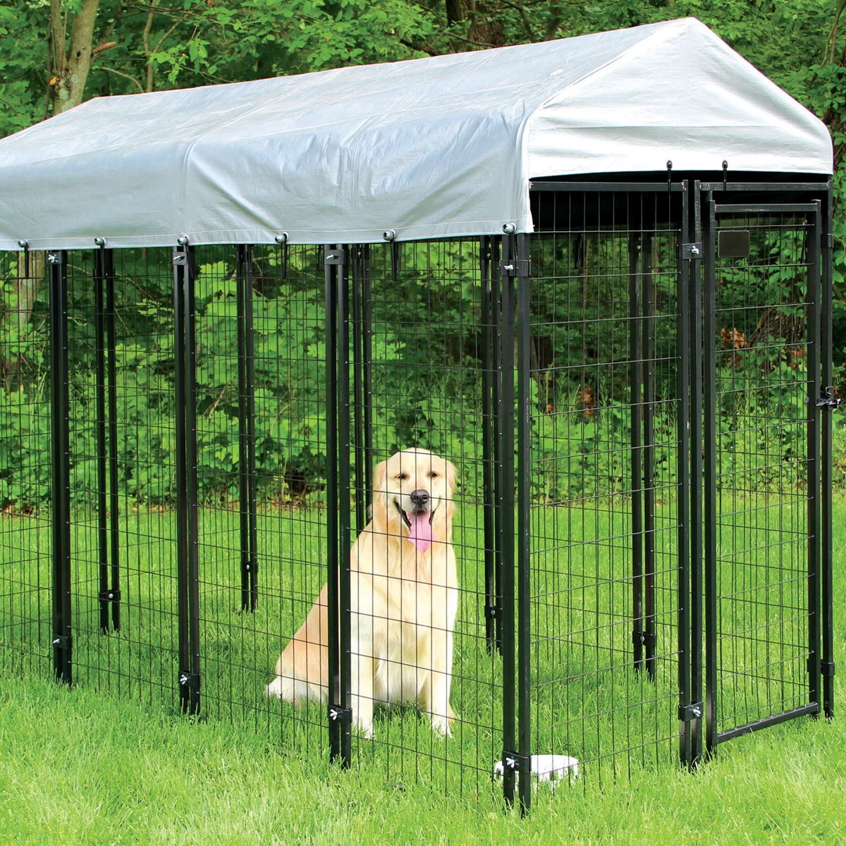 Big Black Metal Dog Kennel With Top Cover 4x4x4.5ft For Pet Houses ...