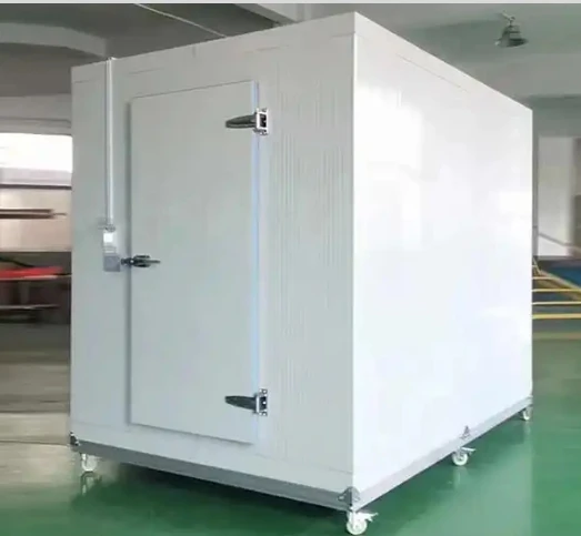 Walk in 20 square Meters Container Freezer Cold Storage Room Custom Freezing Room with Refrigeration Equipment Freezer