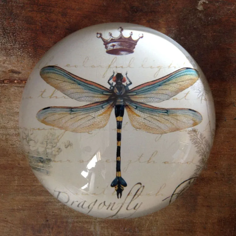 Circular Glass Dragonfly Paperweight MH-F0491