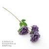 สีม่วง