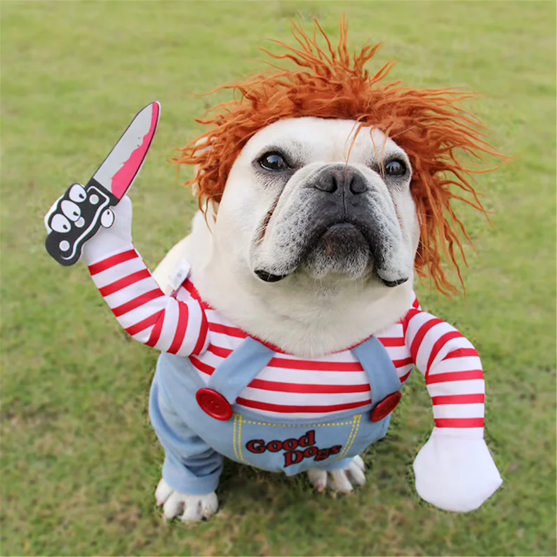 halloween bulldog costumes