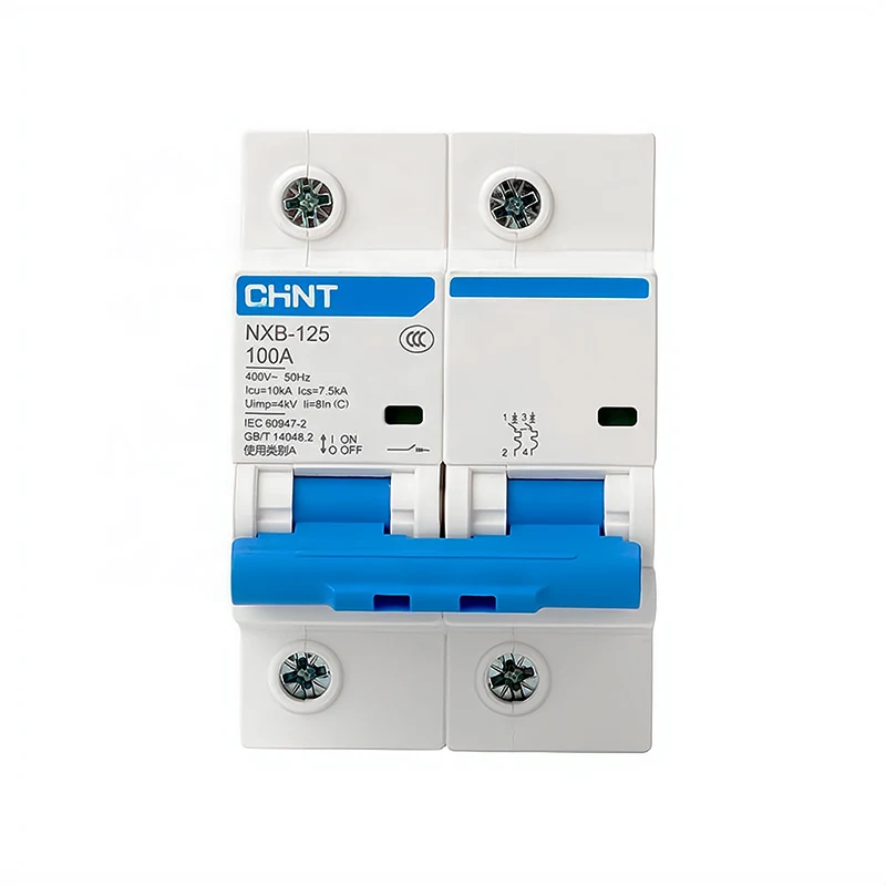 CHINT Double Pole 125A MCB Main Switch DP 125A CHINT MCB Circuit Breaker NXB 2P 100A MCB 10kA CHINT Miniature Circuit Breaker