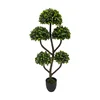 Green-TZL2411125