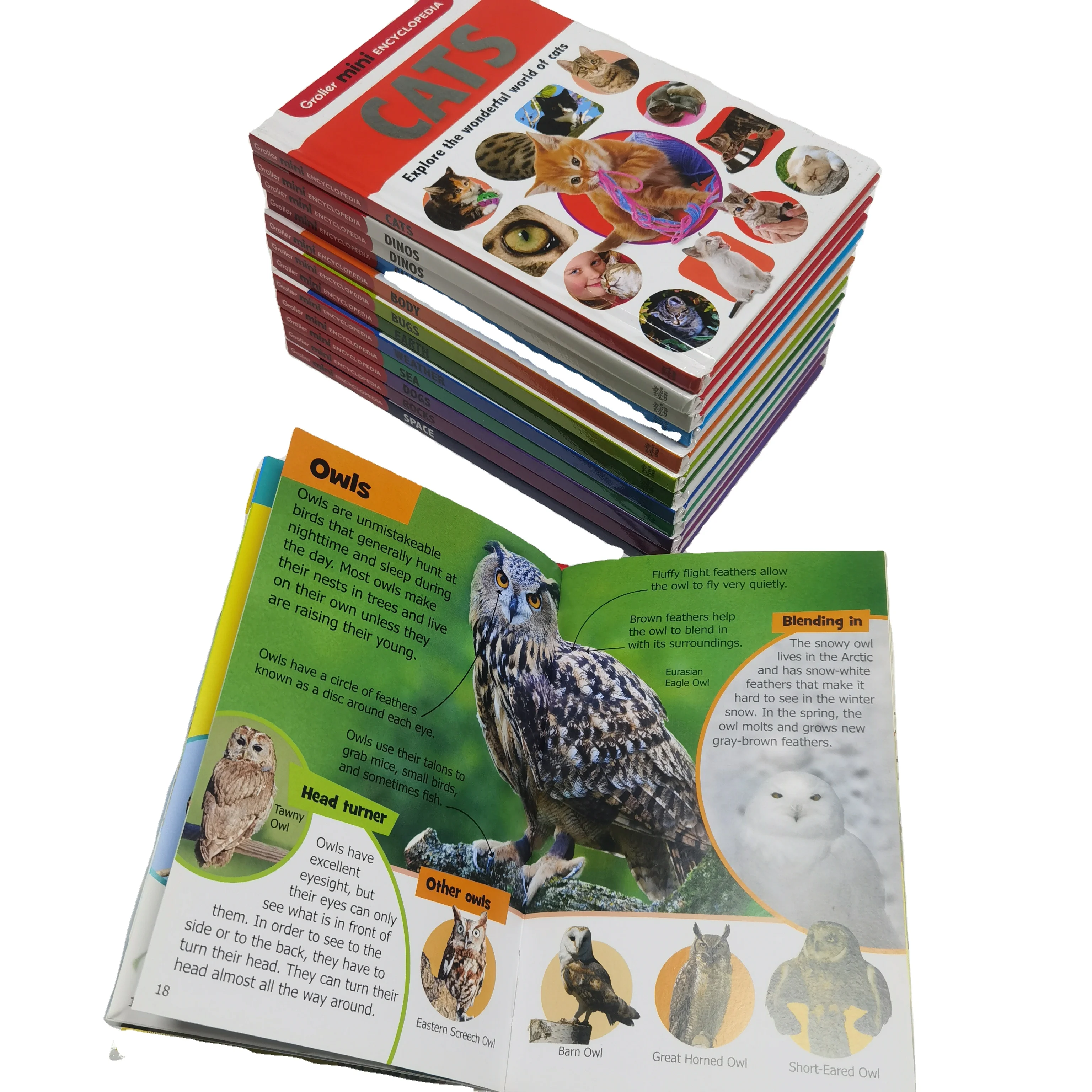 product quality assurance holy bible book new packaging technology hardcover cardboard art paper premium hardcover bible printing books-0