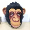 Monkey head mask