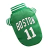 Boston vert