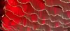 Rouge 40/50/60/70/80 hauteur