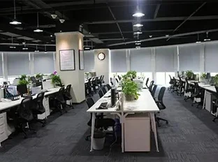 Wuhan Best Industrial Trading Co., Ltd. 1