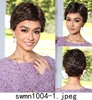 SWMN1004-1BR8