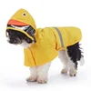 Yellow Duck