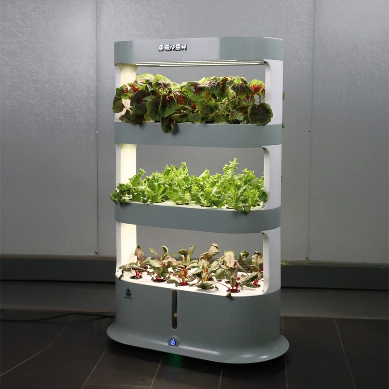 Best Hydroponic Kits for Home Use in 2025 - soilfreefarms