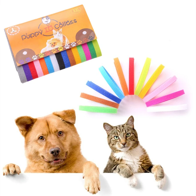 best whelping collars