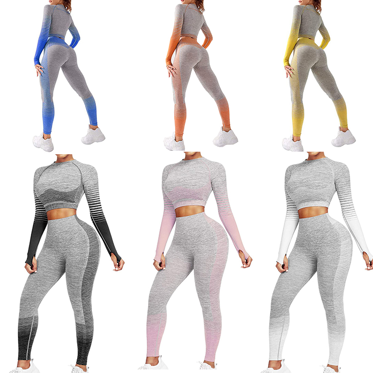 Workout Set 2 Piece Tracksuit Body Building Seamless High Waist Leggings and Long Sleeve Crop Top Yoga Activewear Set