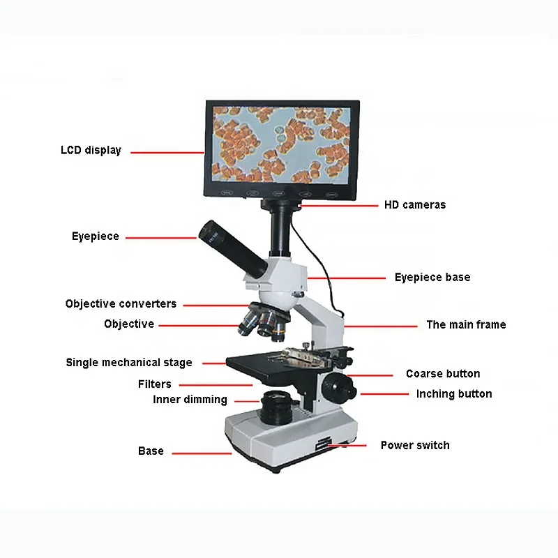 2024 Optical Instrument Biological Microscope Body Health Analyzer