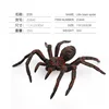 ZQ846 Tarántula 35g