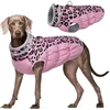 Pink Leopard