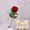 Rojo tipo a