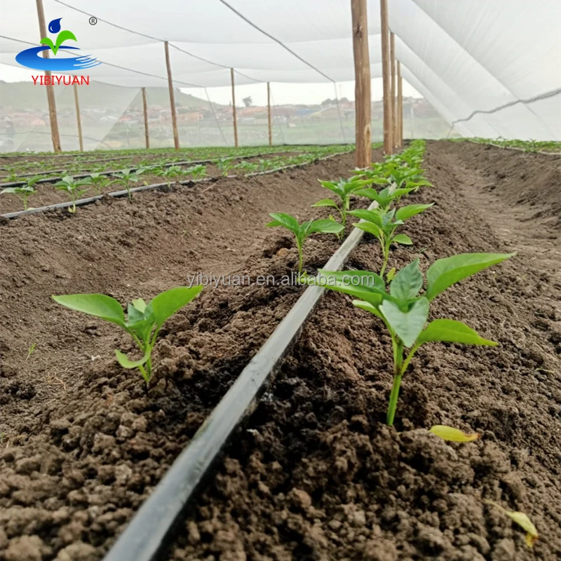 Drip Tape 5/8 3000 Meters Watering Agricultural Drip Irrigation System Kits Farm Plastic Products for 2 Hectares Onion Tomato