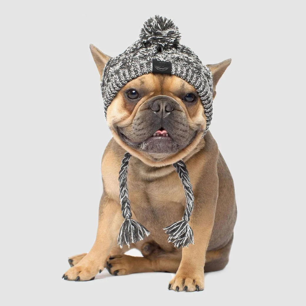 YOULY Beanie Dog Hat, Large/X-Large