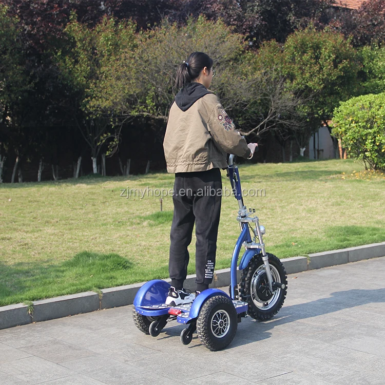 Zappy Three-Wheel Electric Scooter CE Certified 500W Motor Power with Removable Battery Mobility Scooter YXEB-712