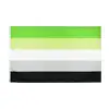rainbow flags C