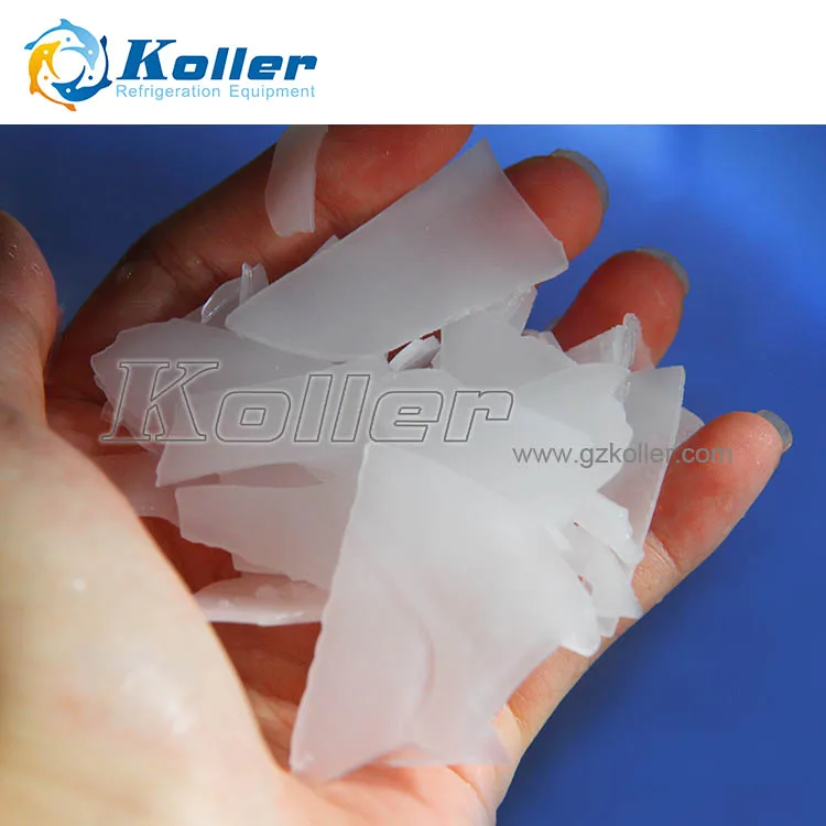 High Quality Flake Ice Maker 10 Tons Day in Malaysia Salt Water Flake Ice Machine for Fishery Fish Cooling and Preservation