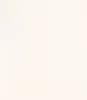 Morandi White